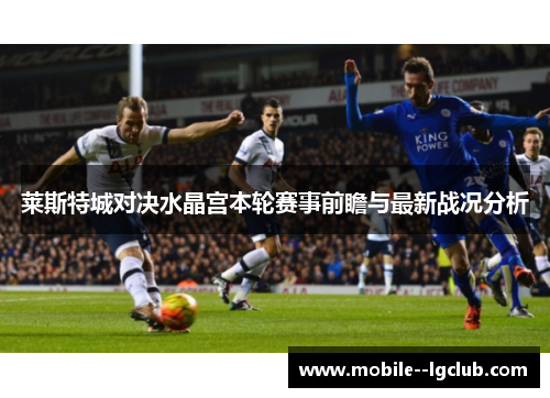 莱斯特城对决水晶宫本轮赛事前瞻与最新战况分析