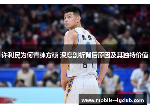 许利民为何青睐方硕 深度剖析背后原因及其独特价值 许利民为何青睐方硕 深度剖析背后原因及其独特价值