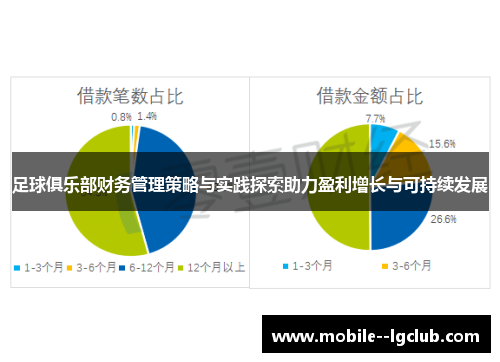 足球俱乐部财务管理策略与实践探索助力盈利增长与可持续发展