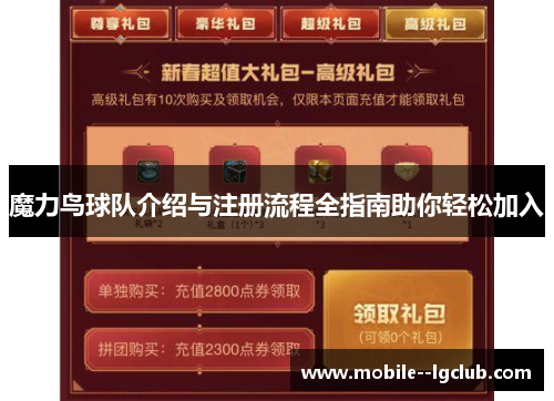 魔力鸟球队介绍与注册流程全指南助你轻松加入